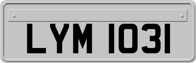 LYM1031