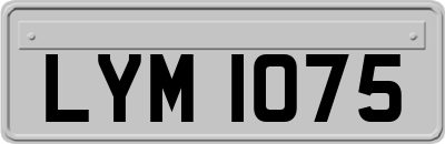 LYM1075