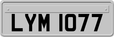 LYM1077