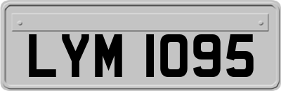 LYM1095