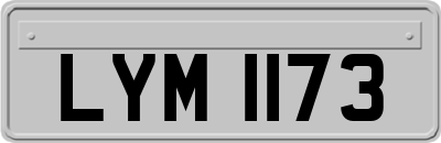 LYM1173