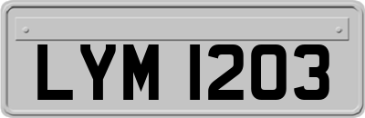 LYM1203