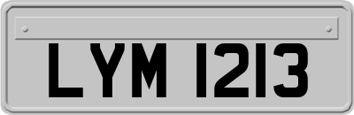 LYM1213