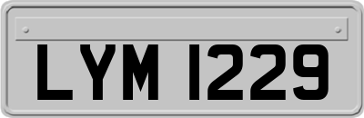 LYM1229