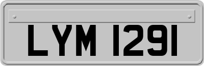 LYM1291
