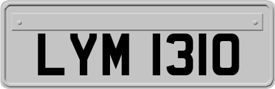 LYM1310