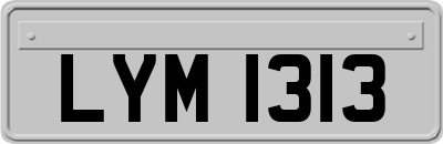 LYM1313