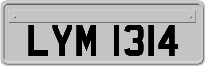 LYM1314