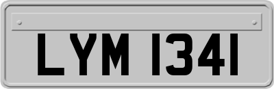 LYM1341