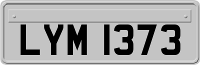 LYM1373