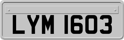 LYM1603