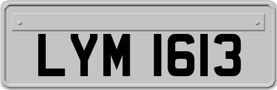 LYM1613
