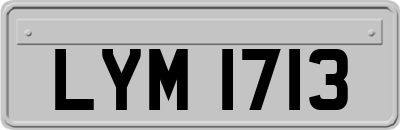 LYM1713