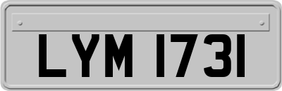 LYM1731