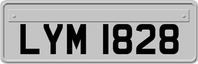 LYM1828