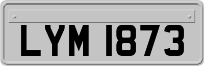 LYM1873