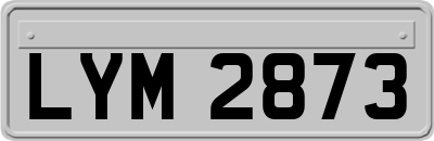 LYM2873