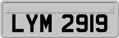 LYM2919