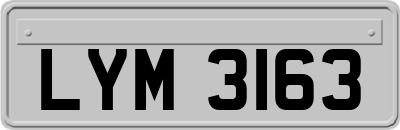 LYM3163