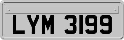 LYM3199