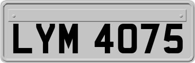 LYM4075