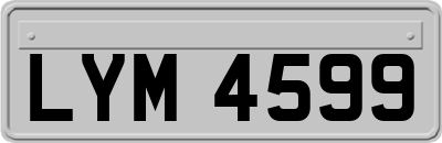 LYM4599