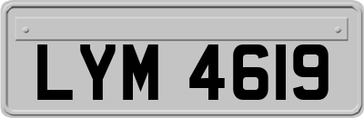 LYM4619
