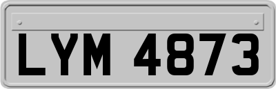 LYM4873