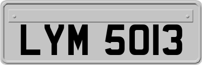 LYM5013