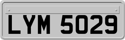 LYM5029