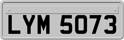 LYM5073