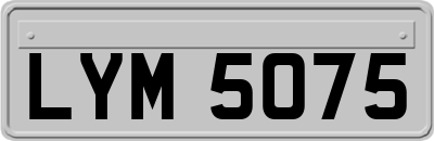 LYM5075