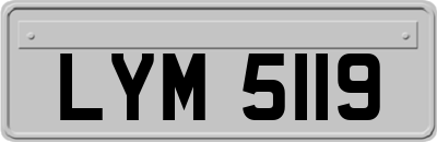 LYM5119