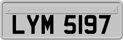 LYM5197