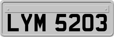 LYM5203