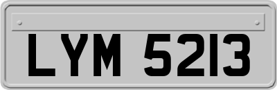 LYM5213