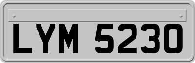 LYM5230