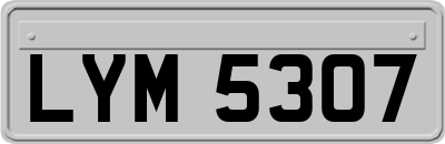 LYM5307