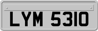 LYM5310