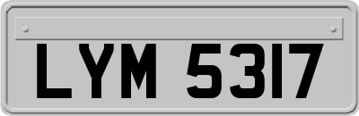 LYM5317