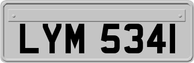 LYM5341
