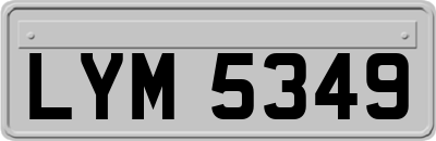 LYM5349