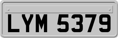 LYM5379