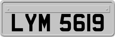 LYM5619