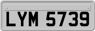 LYM5739