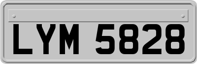 LYM5828