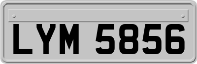 LYM5856