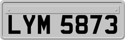 LYM5873