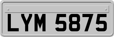 LYM5875