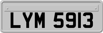 LYM5913